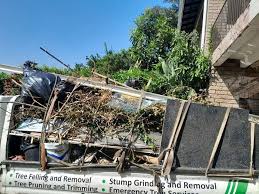 Best Moving and Downsizing Cleanouts  in Youngsville, NC